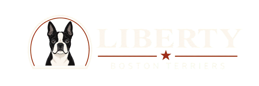 Liberty Boston Terriers