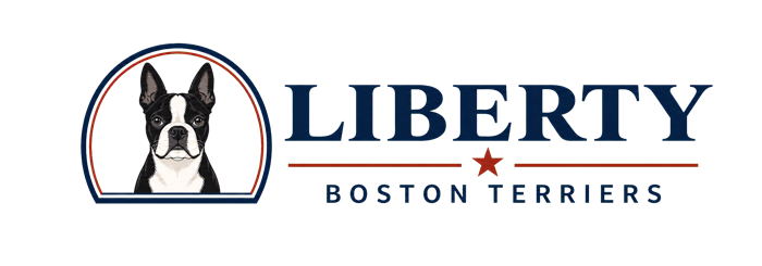 Liberty Boston Terriers