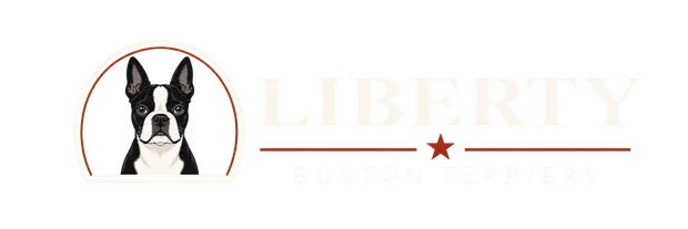 Liberty Boston Terriers