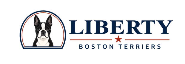 Liberty Boston Terriers